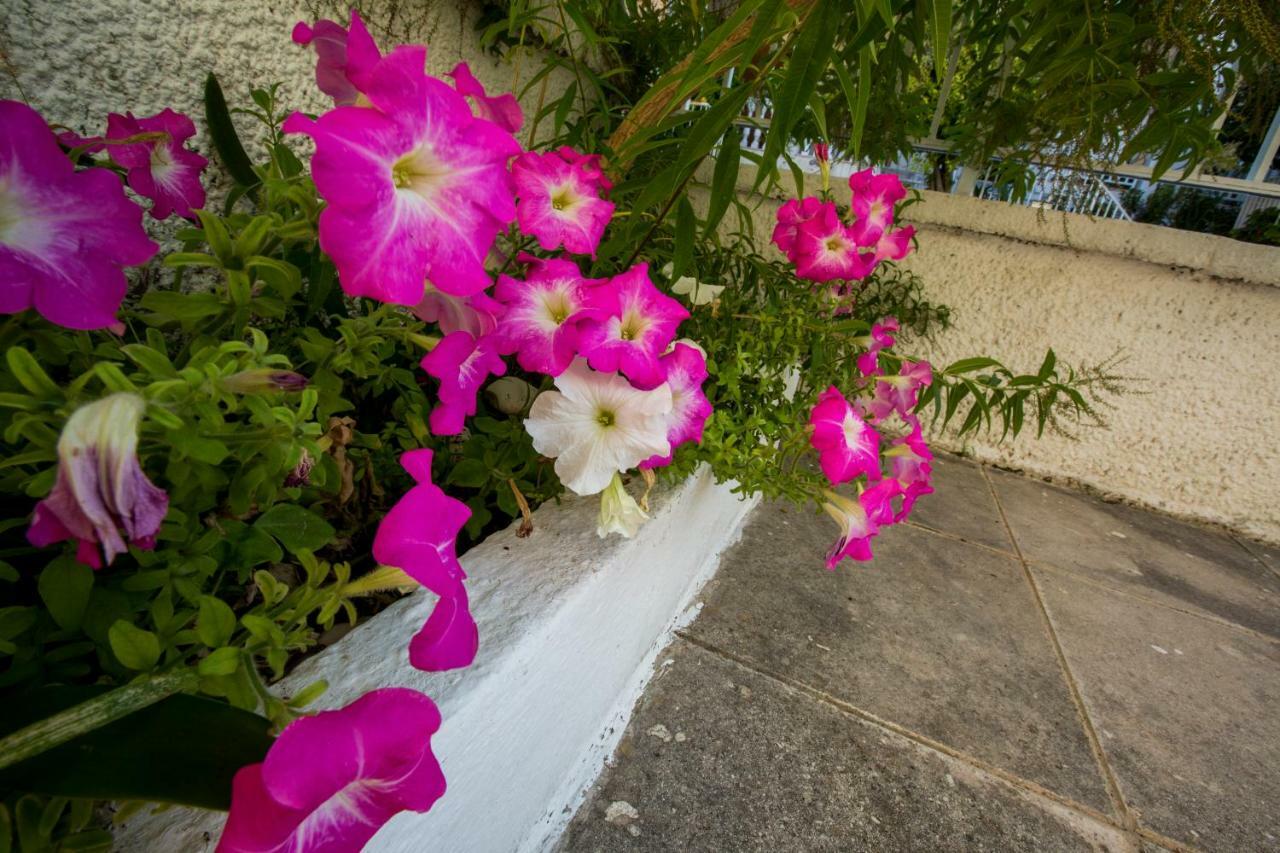 Marietta'S Townhouse Villa Argostoli  Exterior photo